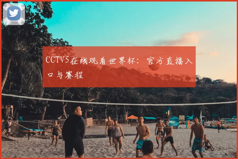 CCTV5在线观看世界杯：官方直播入口与赛程