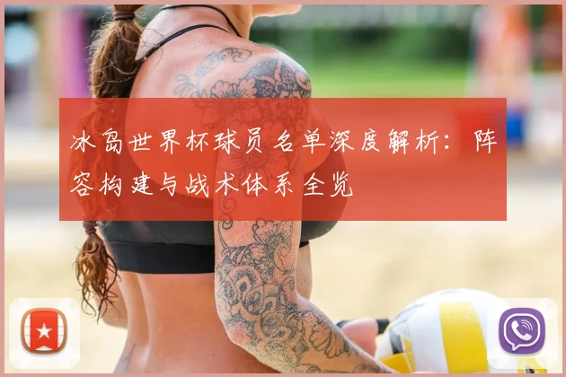 冰岛世界杯球员名单深度解析：阵容构建与战术体系全览