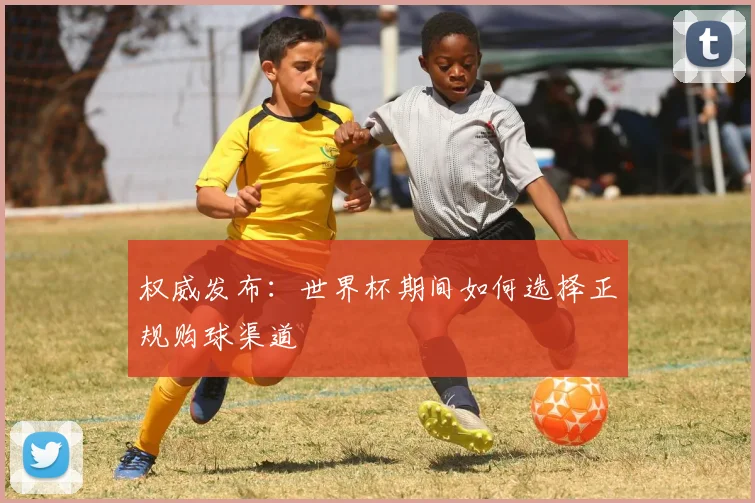 权威发布:世界杯期间如何选择正规购球渠道