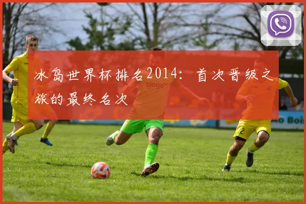 冰岛世界杯排名2014：首次晋级之旅的最终名次