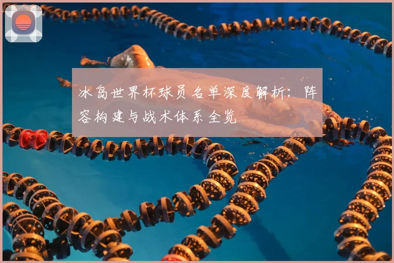 冰岛世界杯球员名单深度解析：阵容构建与战术体系全览