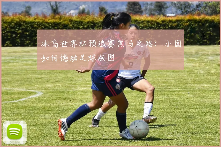 冰岛世界杯预选赛黑马之路：小国如何撼动足球版图