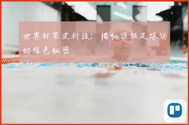 世界杯草皮科技：揭秘顶级足球场的绿色秘密