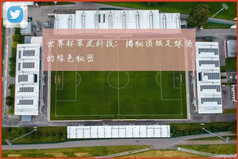 世界杯草皮科技：揭秘顶级足球场的绿色秘密