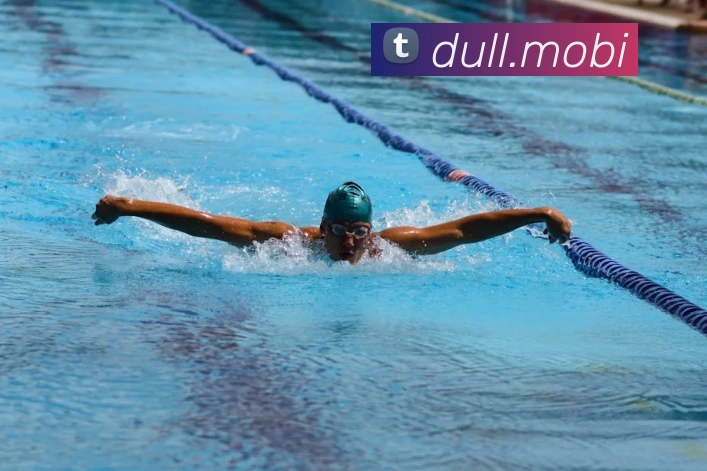 多媒体互动体验